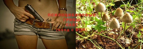 сатива Апатиты